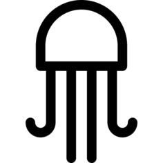 Jellyfish