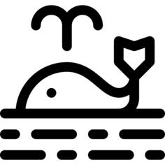 鲸