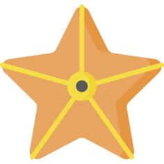 海星