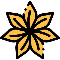 Anise