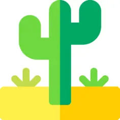 Cactus