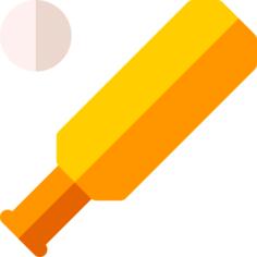 Cricket