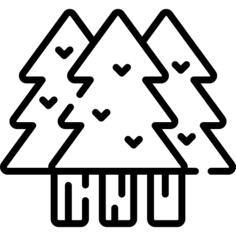森林