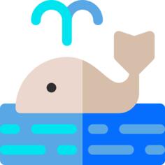 Whale