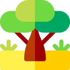 Baobab