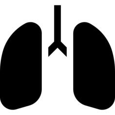 Lungs