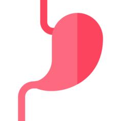 Stomach