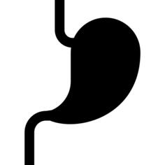Stomach