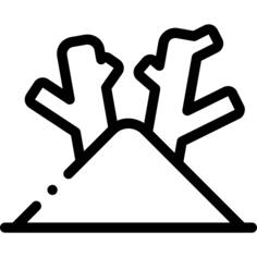 咖喱