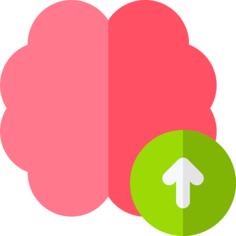 Brain