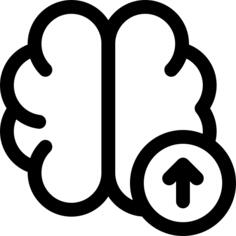 Brain