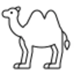 Camel