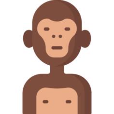 Primate