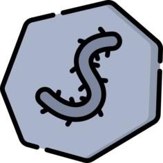 Fossil