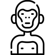 Primate