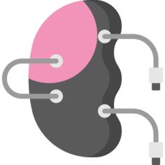 Bionic kidney