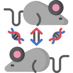 Cloning