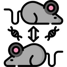克隆