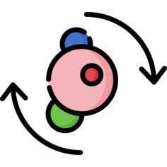 Metabolism