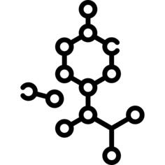 结构体