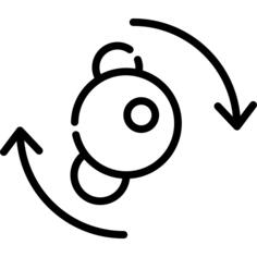 Metabolism