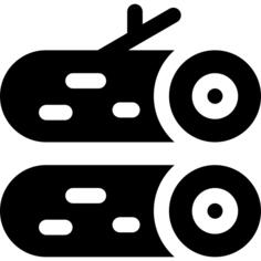 记录