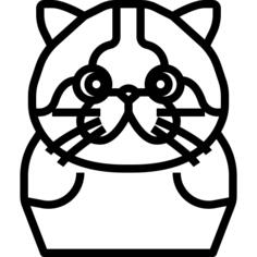 猫