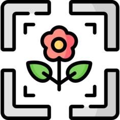 相机