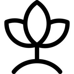 发芽