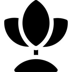 发芽