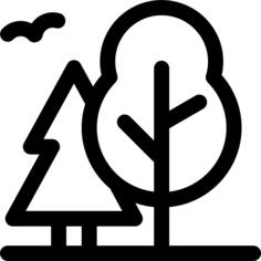 森林