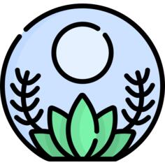 Terrarium