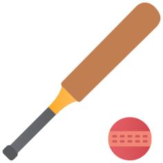 Cricket ball