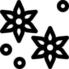 Anise