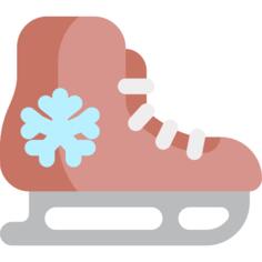 Roller skates