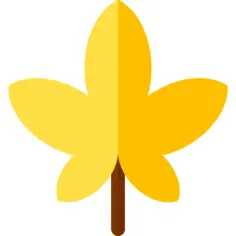 干叶
