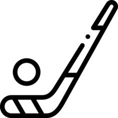 Hockey stick