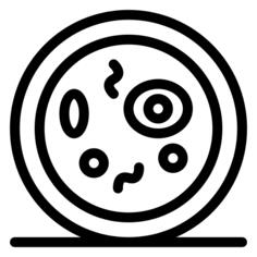 细菌