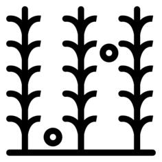 Rosemary