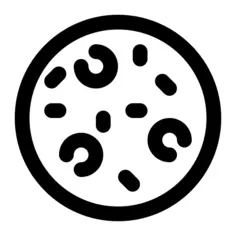 比萨