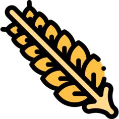 Wheat