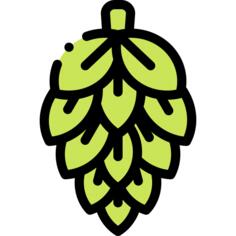 Hop