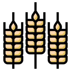 Grain