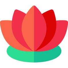 莲花