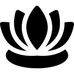 莲花
