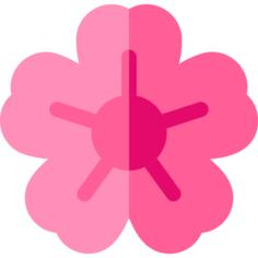 樱