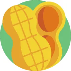 坚果