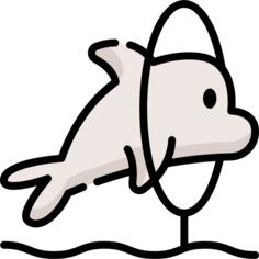 海豚