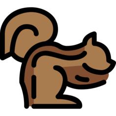 Squirrel