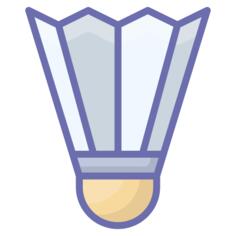 羽毛球